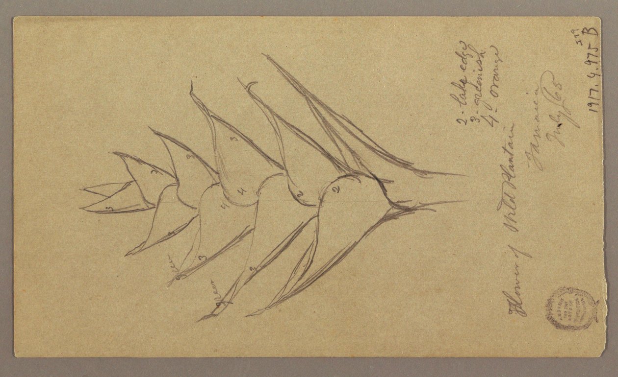 Tekening, Zeegezicht, 29 april 1865 door Frederic Edwin Church