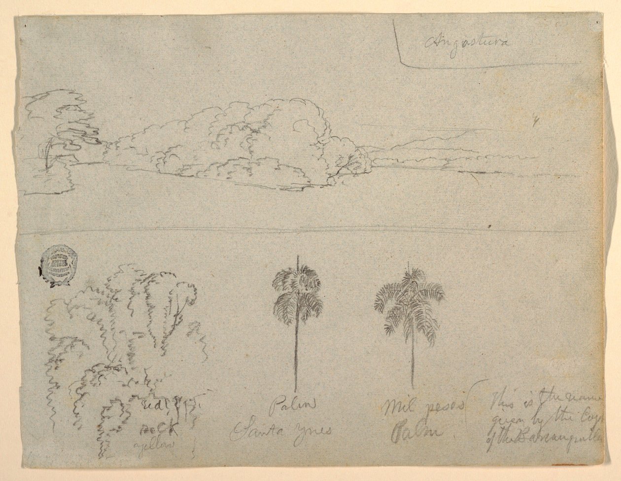 Tekening, Schetsen uit Colombia:  Oever van een rivier of baai, en bomen, 1853 door Frederic Edwin Church