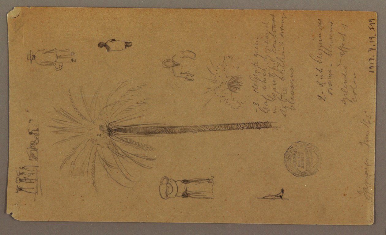 Tekening, Schetsen uit Jamaica, West-Indië, juni 1865 door Frederic Edwin Church