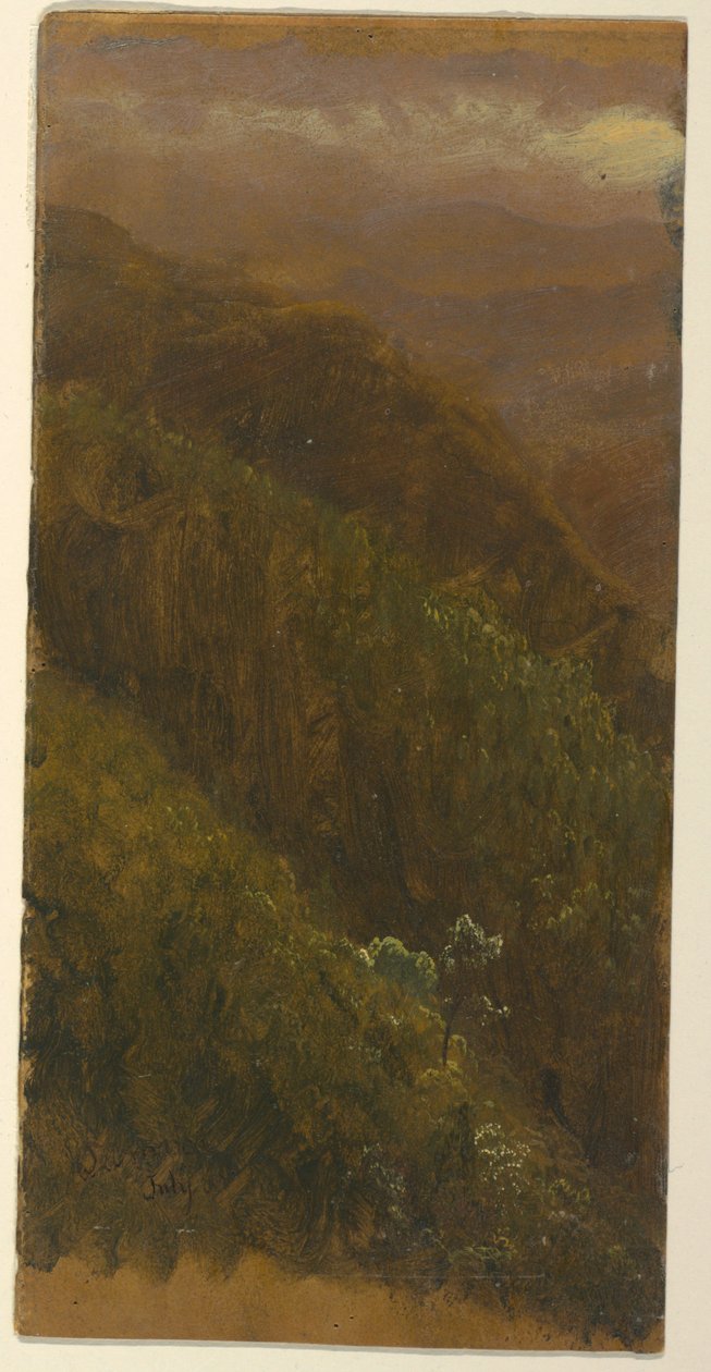Tekening, Steile helling, juli 1865 door Frederic Edwin Church