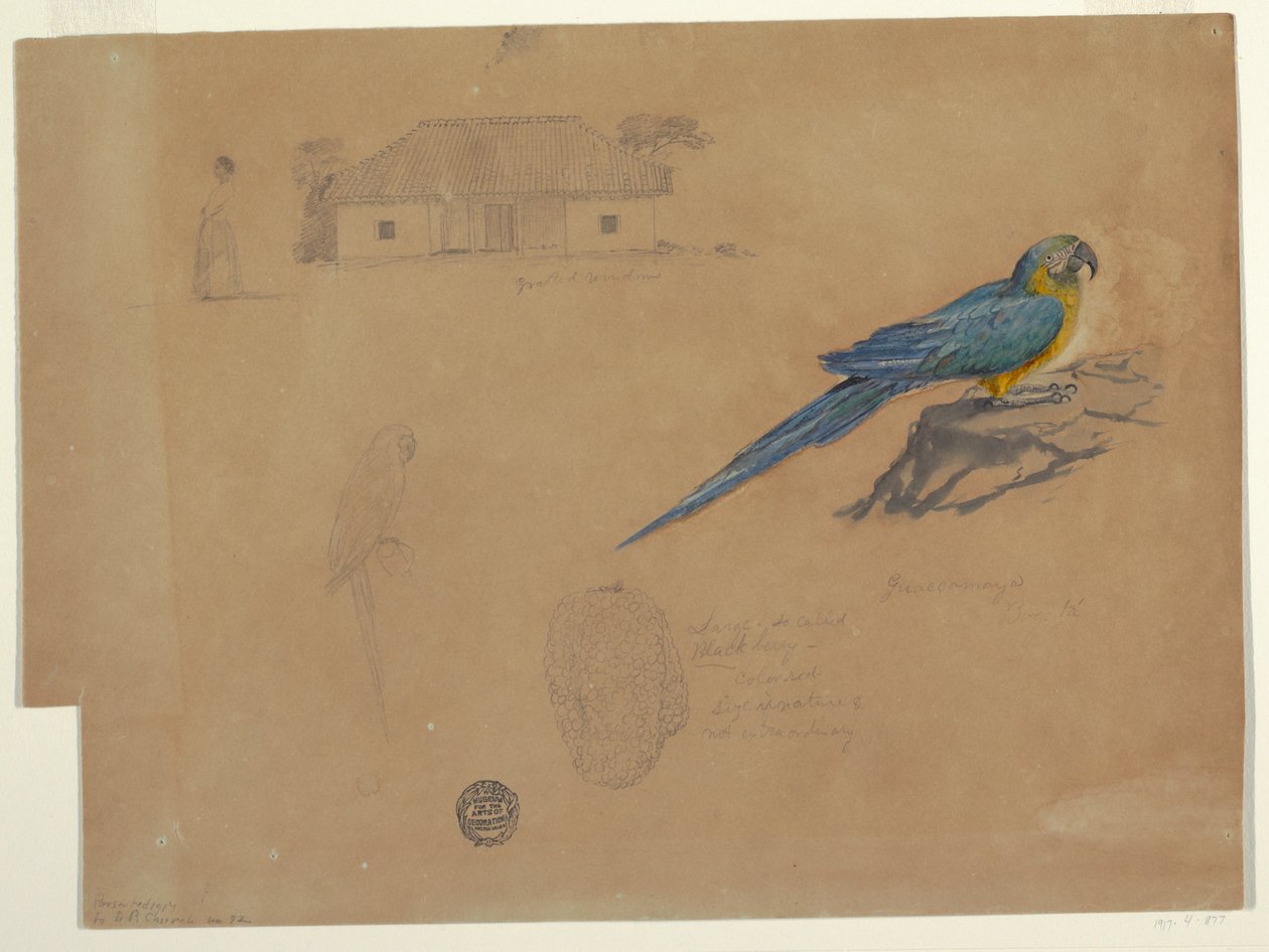Tekening, Studies van Guaccamaya, Bogotá, Colombia, juni-juli 1853 door Frederic Edwin Church