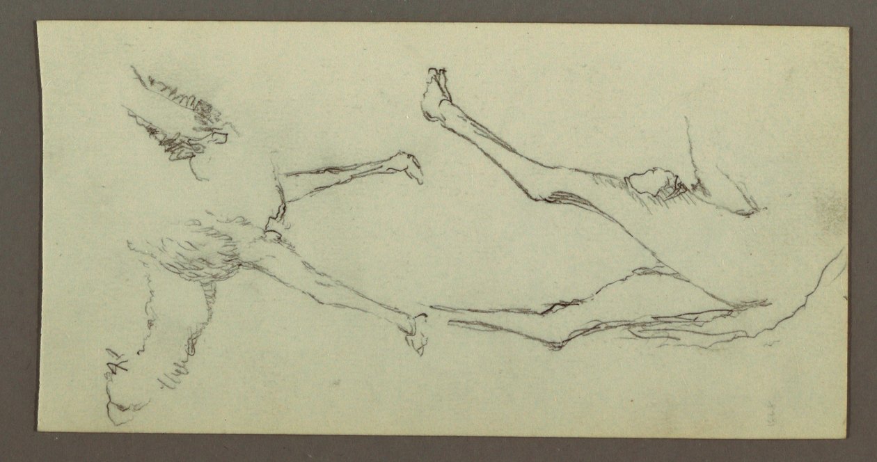 Tekening, Studie van de benen van een kameel, mogelijk 1868 door Frederic Edwin Church