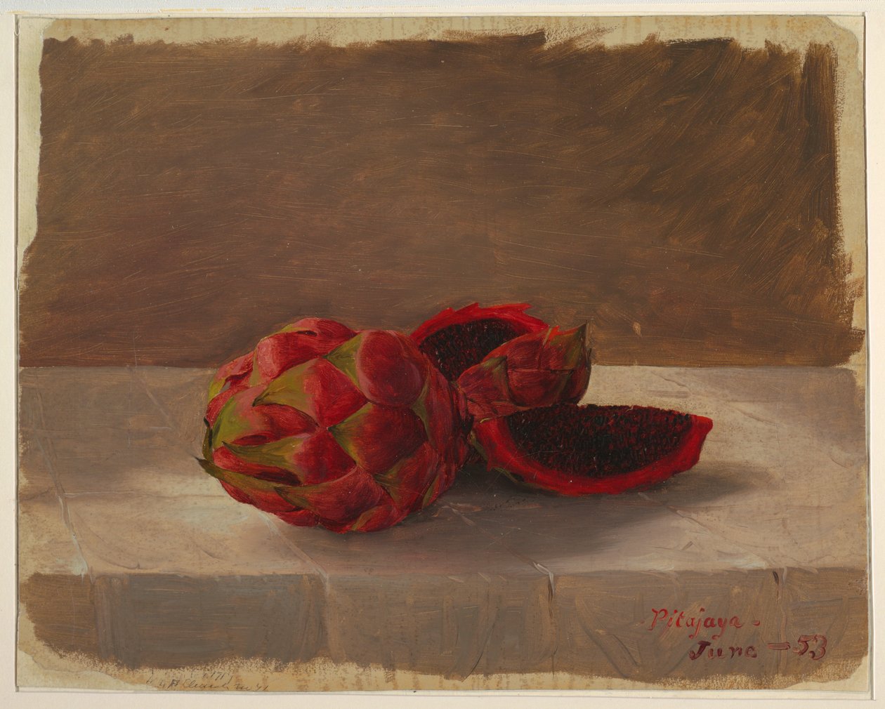 Tekening, De Pitajaya-vrucht, Colombia, juni 1853 door Frederic Edwin Church