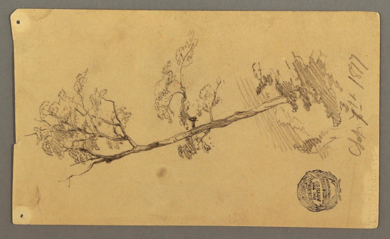 Tekening, Boom, 1877 door Frederic Edwin Church