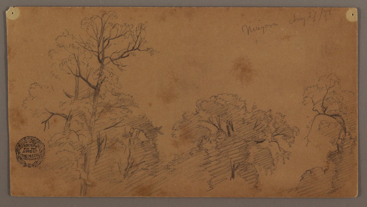Tekening, Boomtoppen, Niagara, 27 augustus 1856 door Frederic Edwin Church