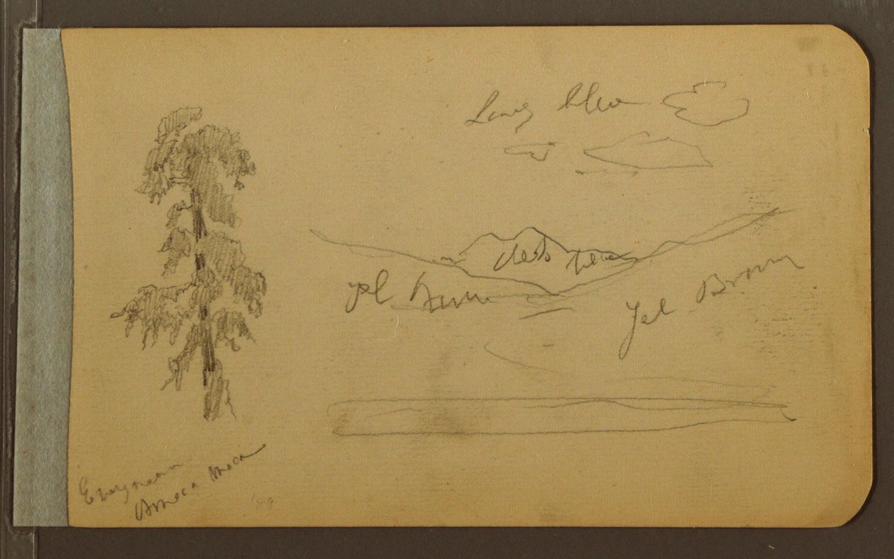 Tekening, boom, bergen, 1889 door Frederic Edwin Church