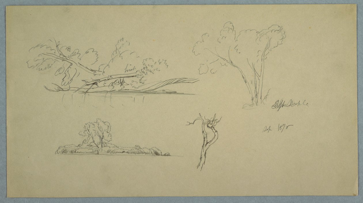 Tekening, Bomen, een oever met struiken en bomen, september 1876 door Frederic Edwin Church