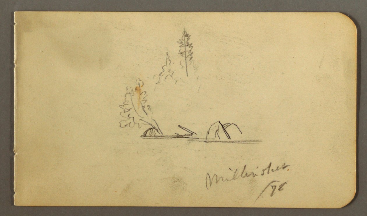Tekening, Bomen en keien in water, 1878 door Frederic Edwin Church