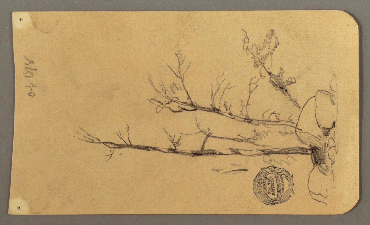 Tekening, Bomen, keien, 1878 door Frederic Edwin Church