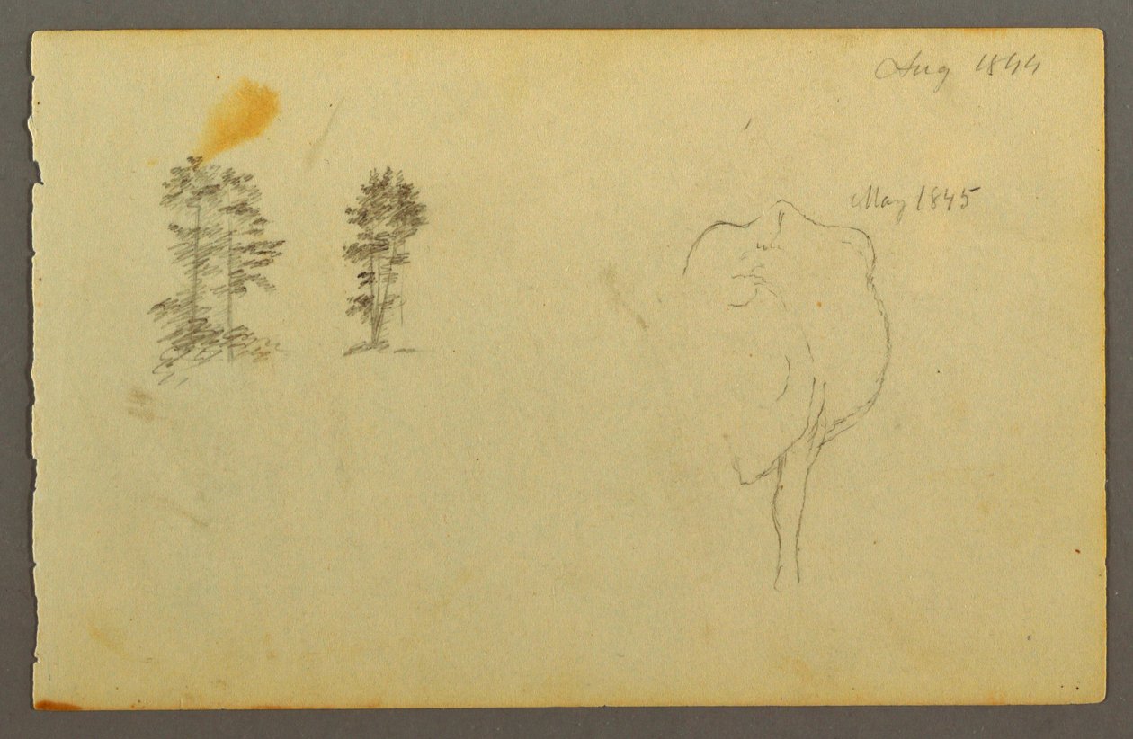 Tekening, bomen, koe, 1844 door Frederic Edwin Church
