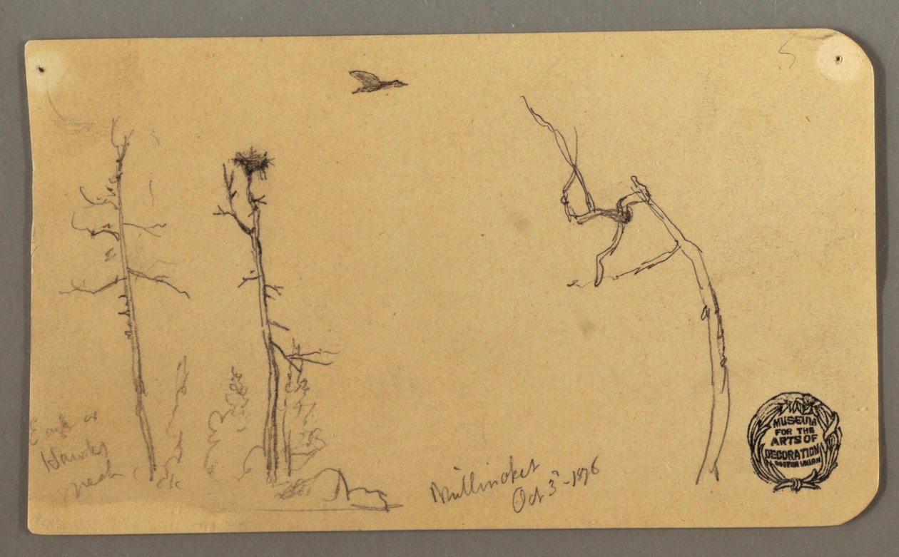 Tekening, Bomen, vliegende vogel, 1877 door Frederic Edwin Church