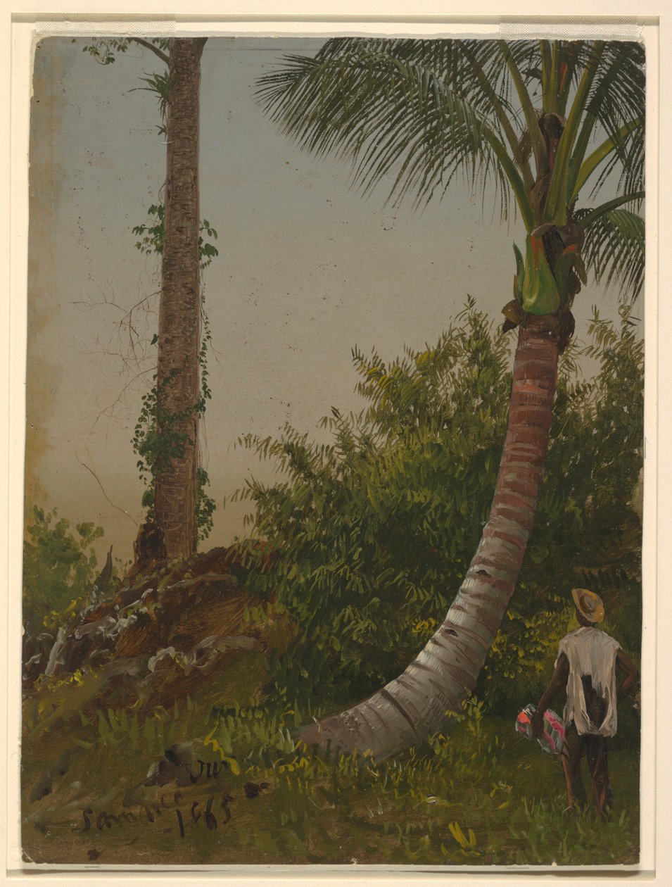 Tekening, Bomen in Jamaica, West-Indië, 1865 door Frederic Edwin Church