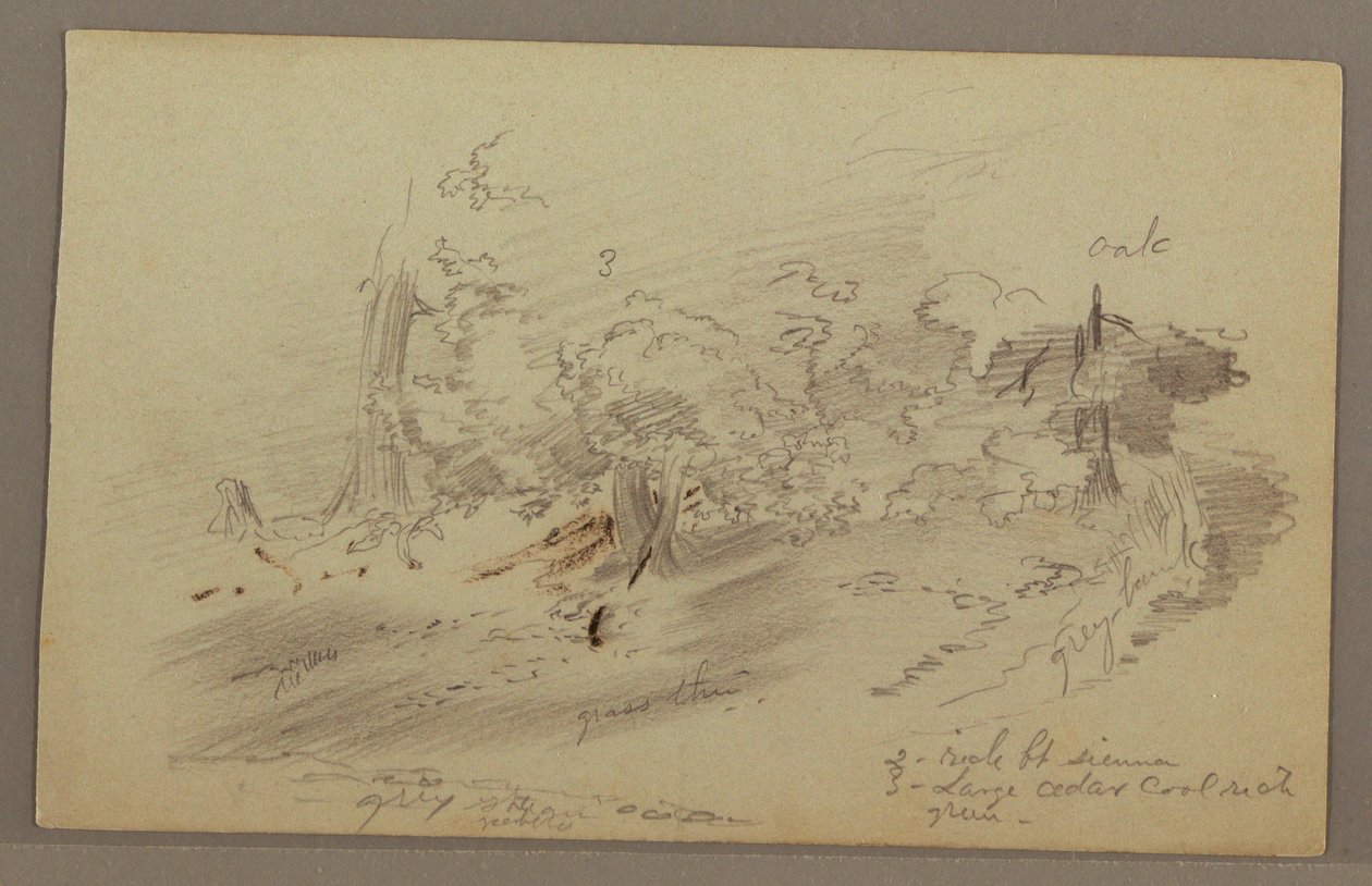 Tekening, Bomen, mogelijk jaren 1860 door Frederic Edwin Church