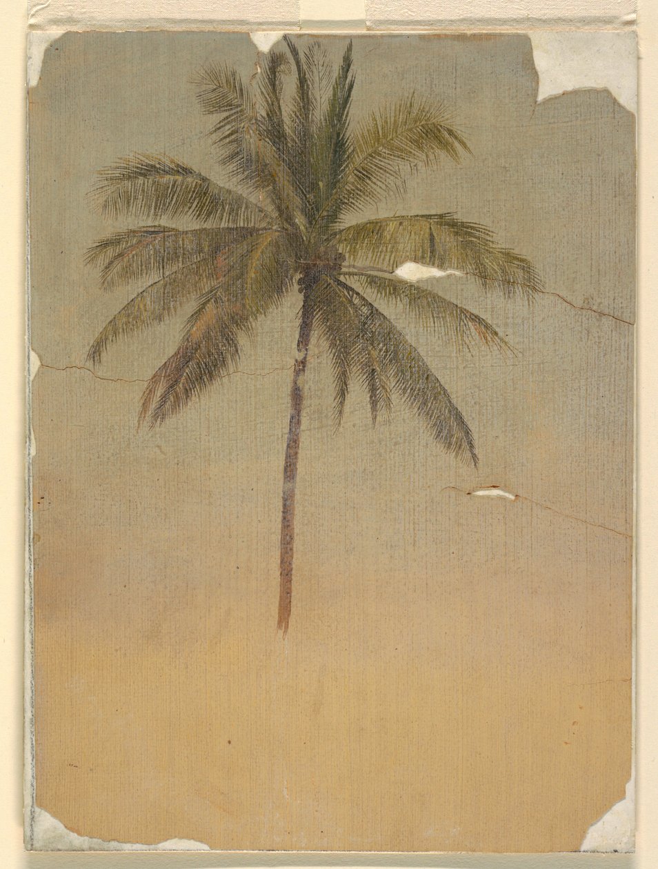 Tekening, Stam en top van een palmboom, 1865 door Frederic Edwin Church