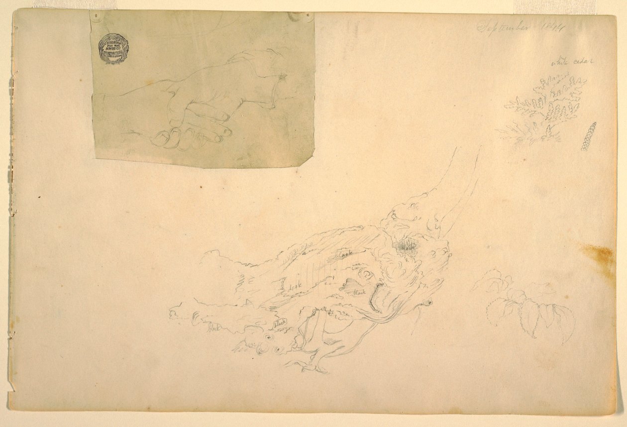 Tekening, Twee handen schuddend, knoestige boomwortels, september 1844 door Frederic Edwin Church