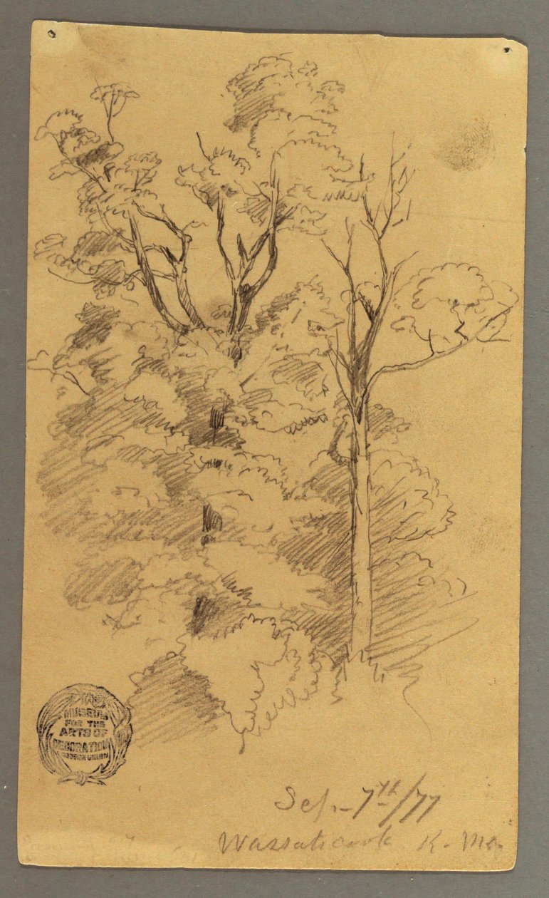 Tekening, Twee bomen, 1877 door Frederic Edwin Church
