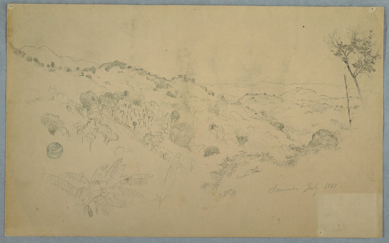 Tekening, Beboste vallei met een grote varen en bergketens in de verte, Jamaica, juli 1865 door Frederic Edwin Church
