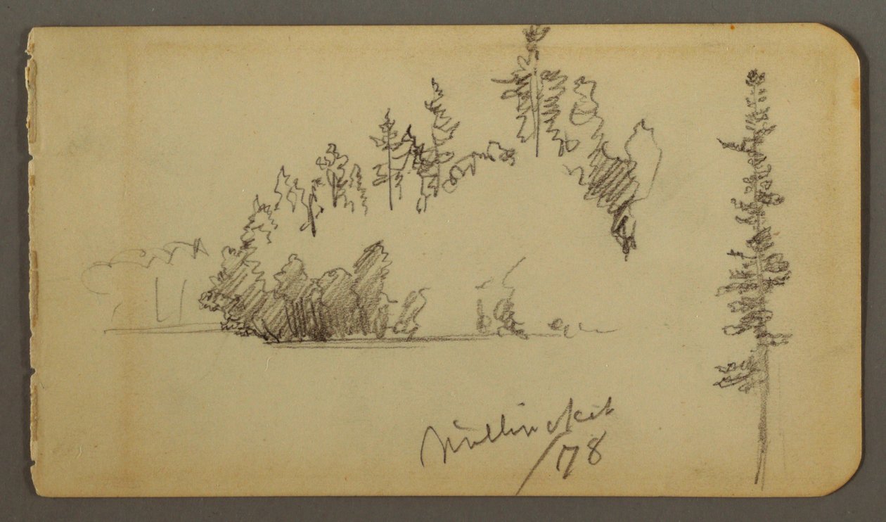 Tekening, Bosachtige oever, boomstudie, 1878 door Frederic Edwin Church