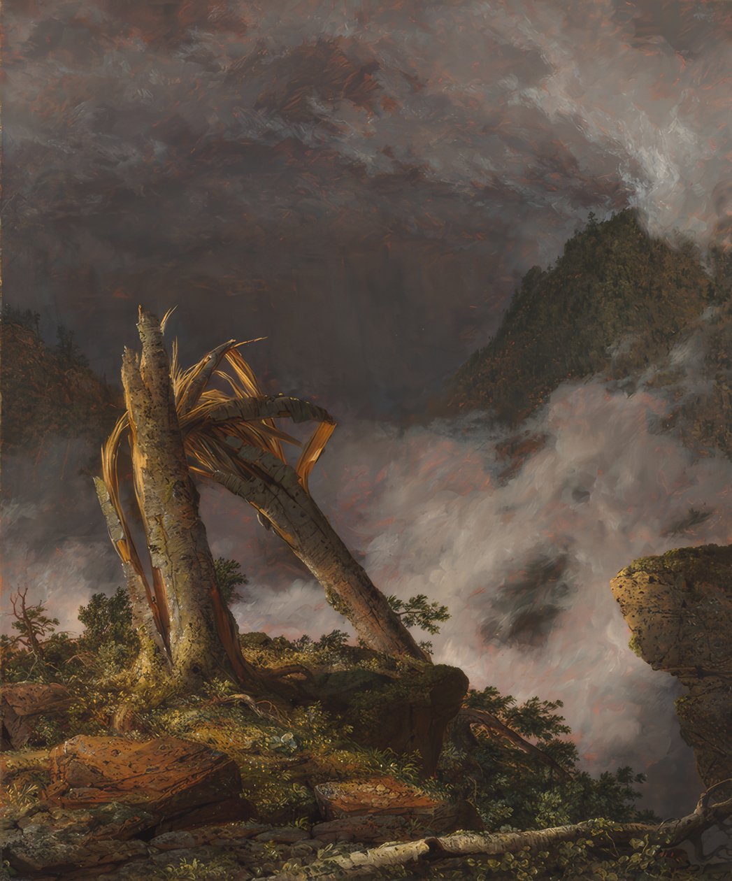 Frederic Edwin Church / Storm in de bergen, 1847. door Frederic Edwin Church