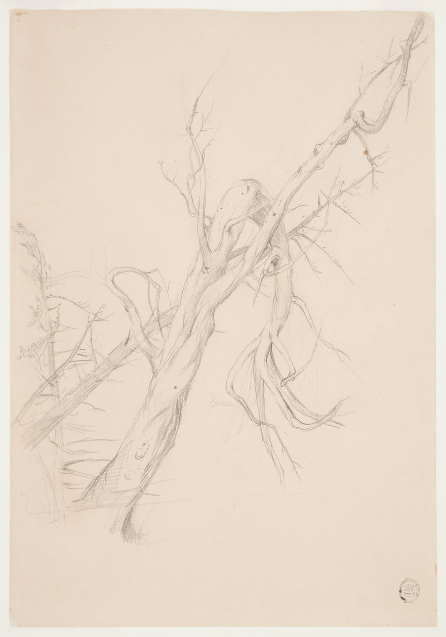 Knoestige dode boom door Frederic Edwin Church