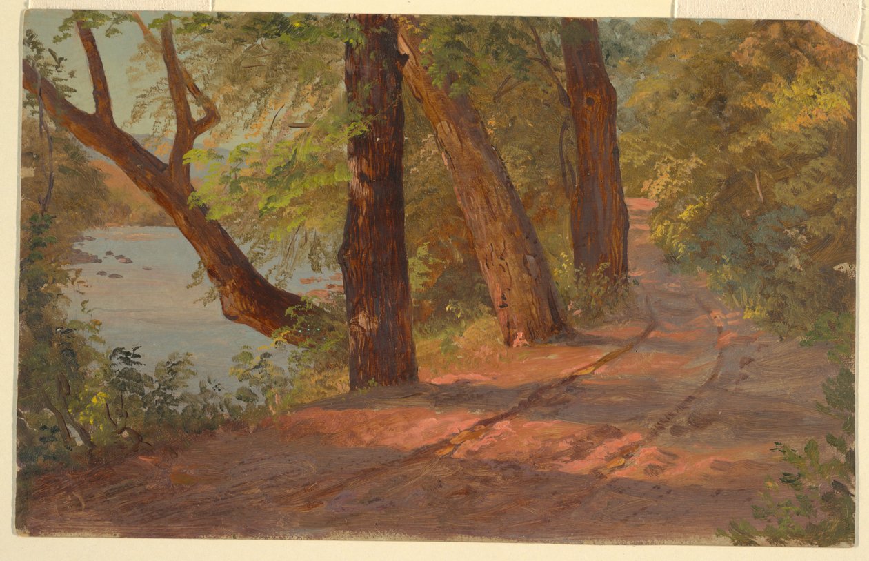 Landschap uit Noord-Amerika (Weg bij een meer) door Frederic Edwin Church