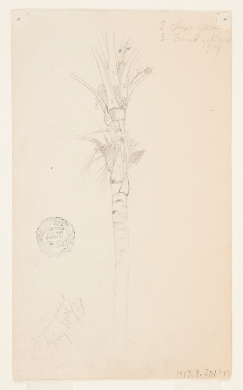 Bladeren en stam van een palmboom, Aspinwall, Panama door Frederic Edwin Church