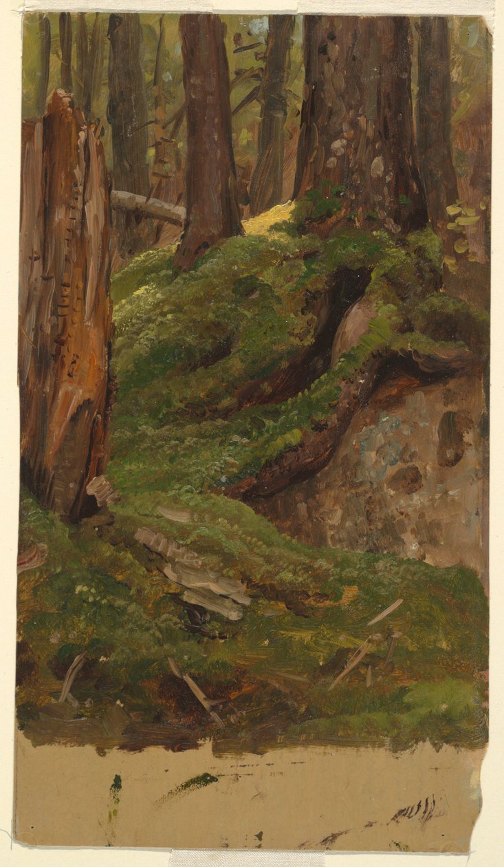Maine? bossen door Frederic Edwin Church
