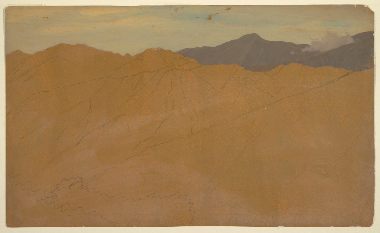 Palmbomen en daken, Ecuador door Frederic Edwin Church