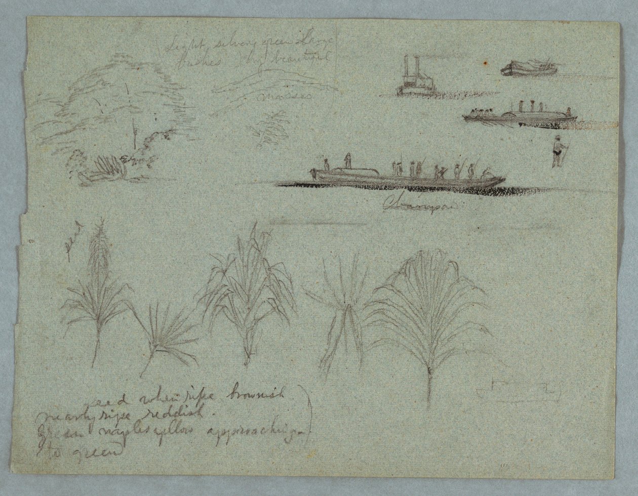 Schetsen van de Rio Magdalena, Colombia: Planten, stoomboot en een Champan door Frederic Edwin Church