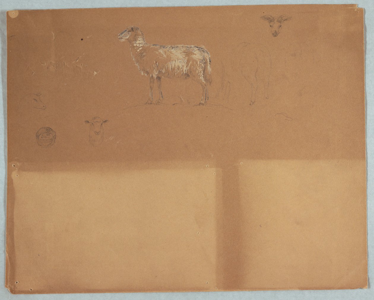 Studies van Schapen, Ecuador of Colombia door Frederic Edwin Church
