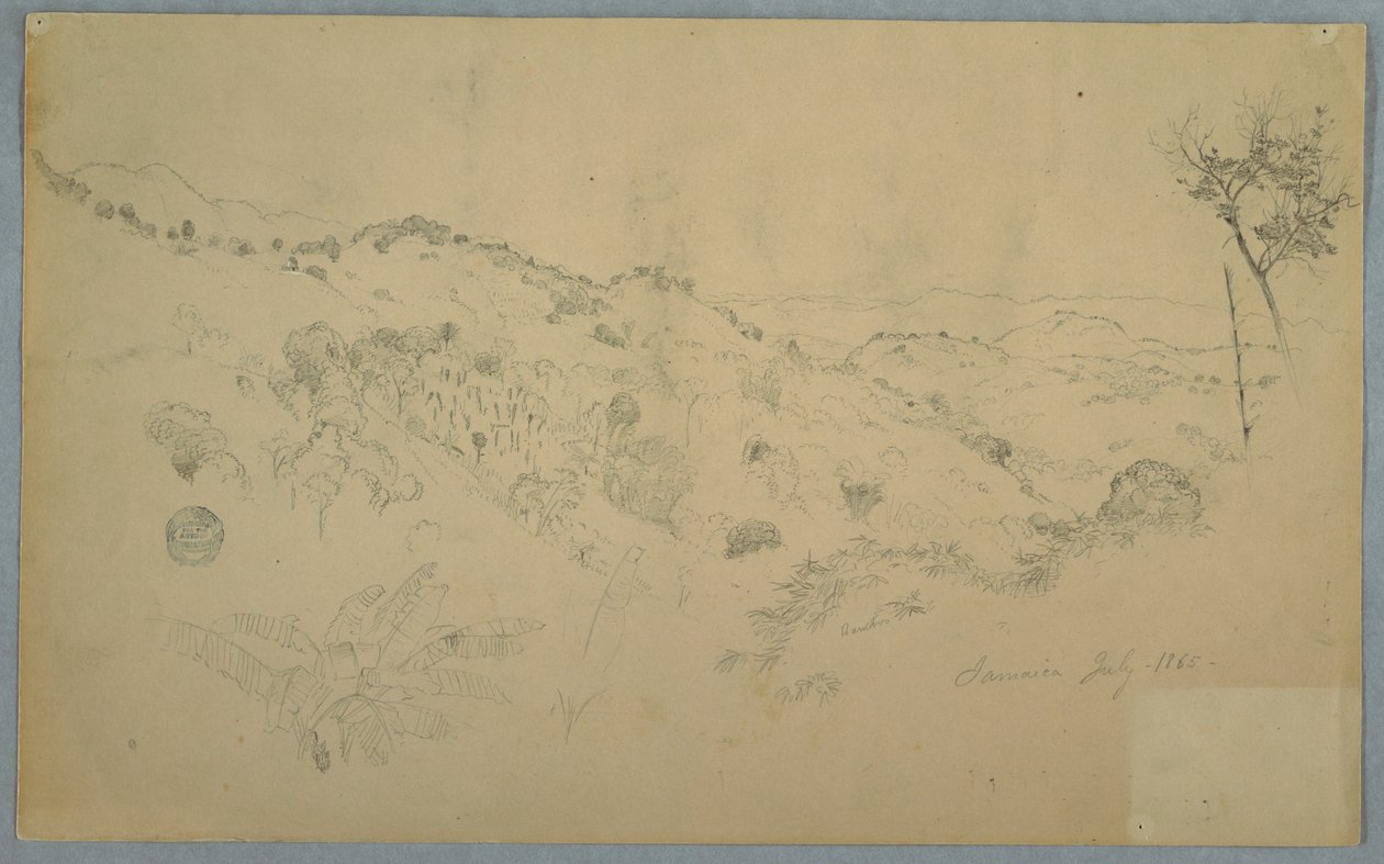 Bosrijke vallei met een grote varen en verre bergketens, Jamaica door Frederic Edwin Church