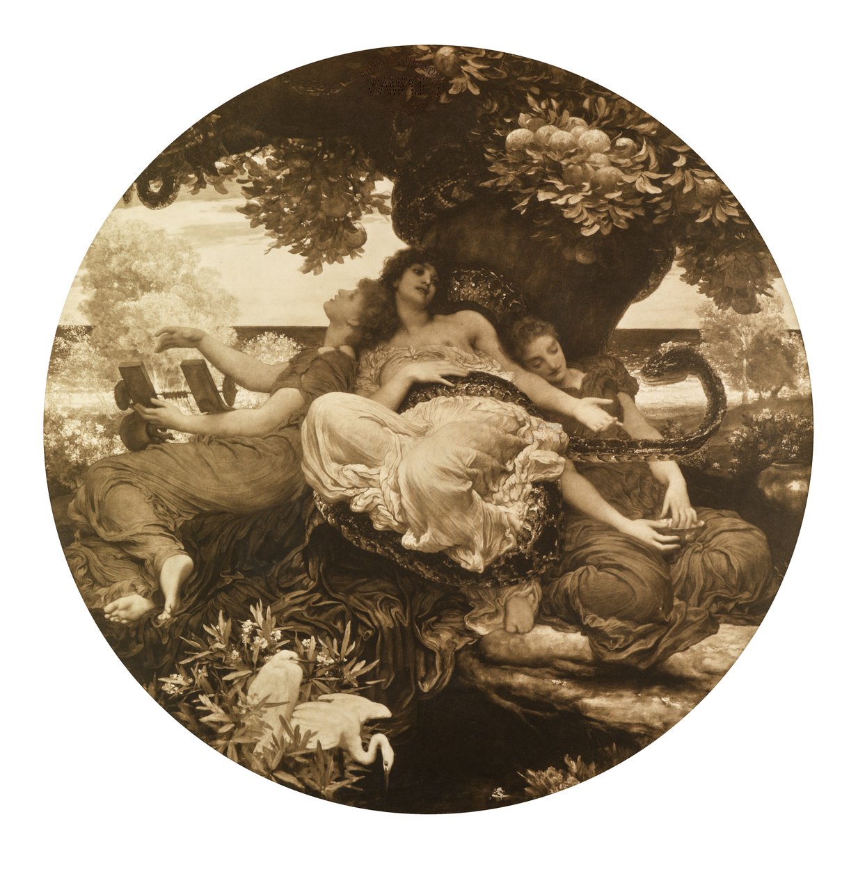 De Tuin van de Hesperiden door Frederic Leighton