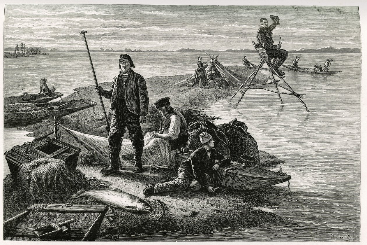 Zalmvissen. Gravure door F.Lix, ter illustratie van het verhaal 