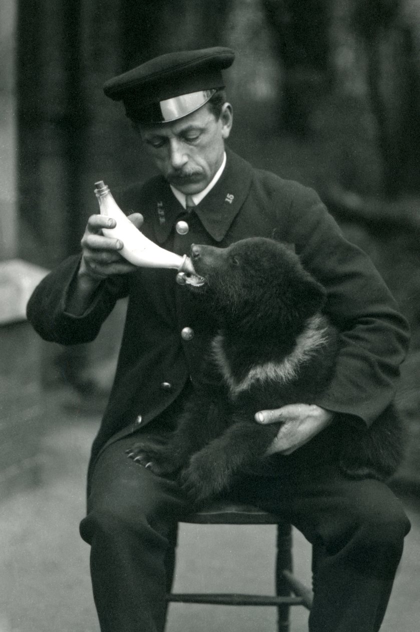Een Bruine Berenwelp die flesvoeding krijgt van verzorger, Leslie Martin Flewin, in de London Zoo in mei 1914 door Frederick William Bond