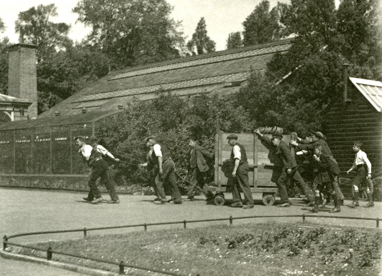 Een team van mannen verplaatst de luipaard in een houten krat, gevolgd door twee jongens, London Zoo, 1922 door Frederick William Bond