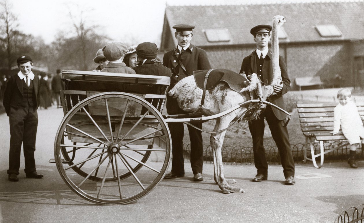 Een Struisvogelkarrit met kinderen en verzorgers George Blore en William Dexter in de Londense Zoo, c.1913 door Frederick William Bond