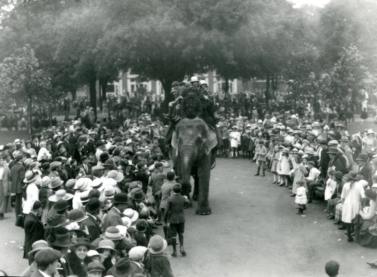 Menigte Bezoekers Bekijkt een Olifantenrit in de London Zoo, Augustus Bank Holiday, 1922 door Frederick William Bond