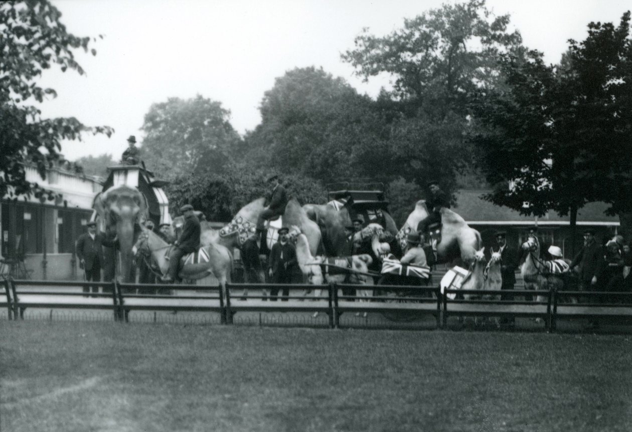 Rijdende dieren versierd voor de Vredesdagvieringen, 19 juli 1919 door Frederick William Bond