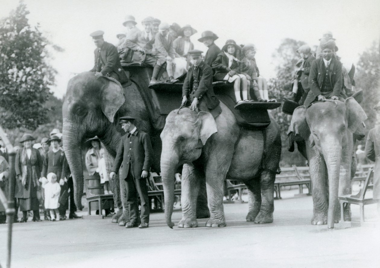 Drie Indische Olifanten geven bezoekers ritjes in de London Zoo, 1923 door Frederick William Bond