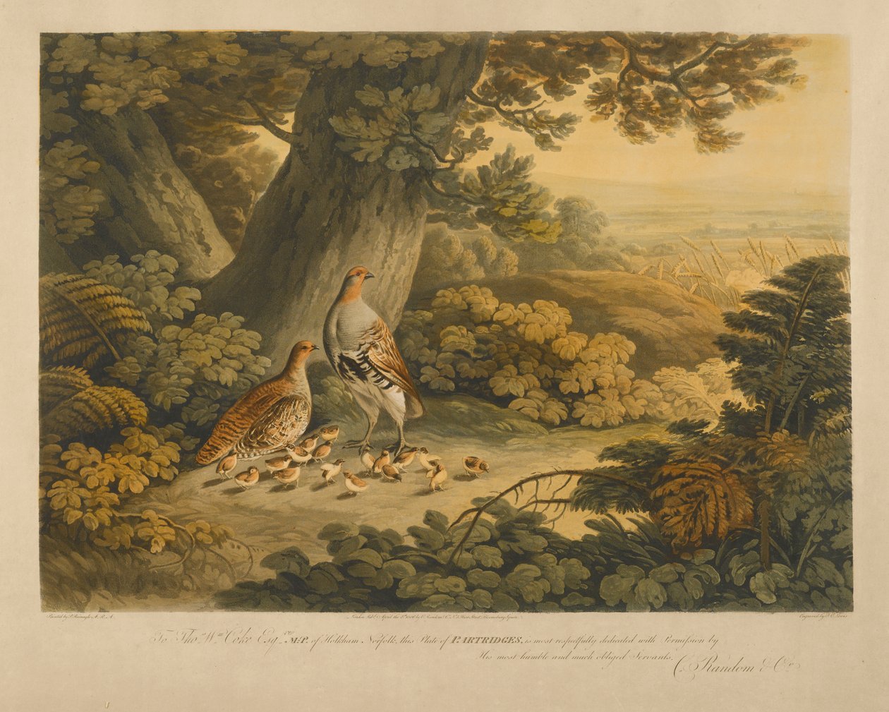 Patrijzen door Frederick Christian Lewis