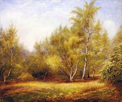 Epping Forest bij Buckhurst Hill door Frederick Henry Evans