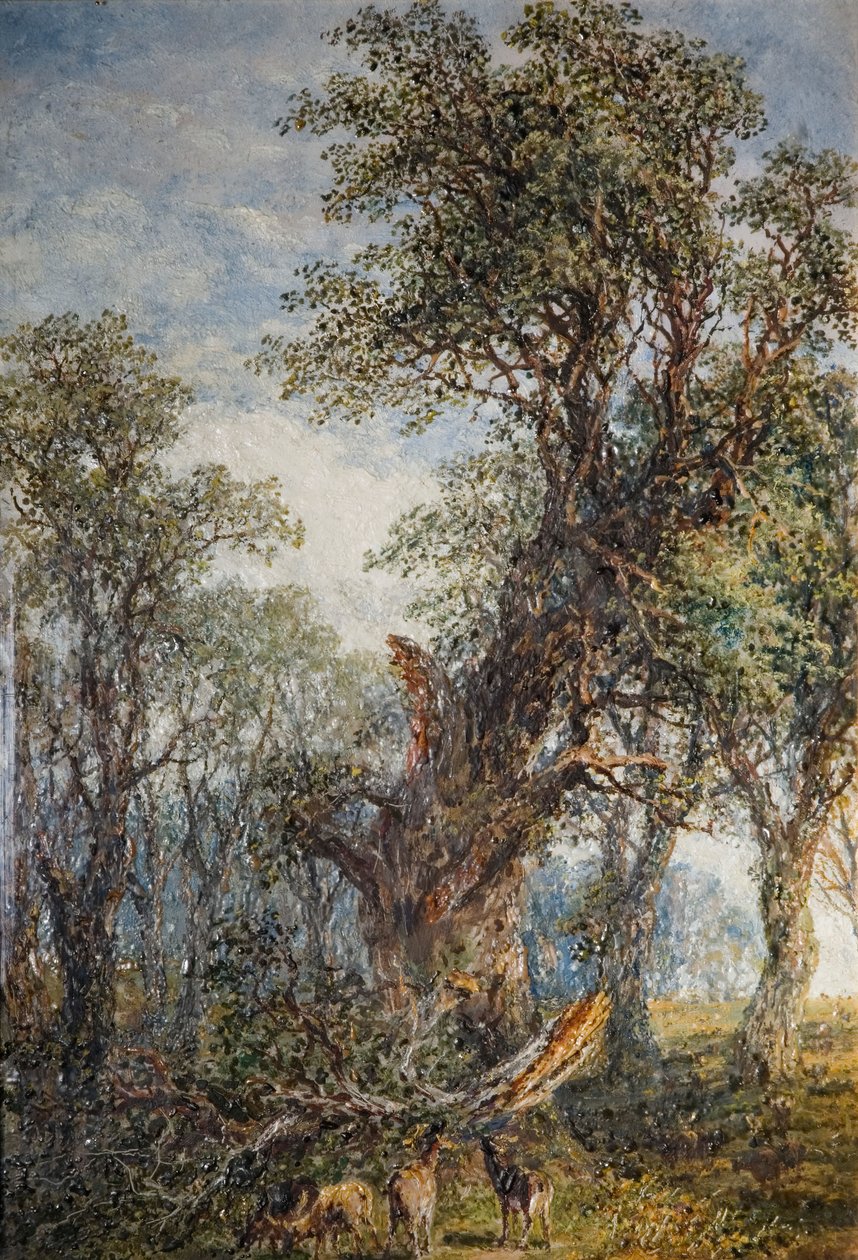De Gebroken Tak door Frederick Henry Henshaw