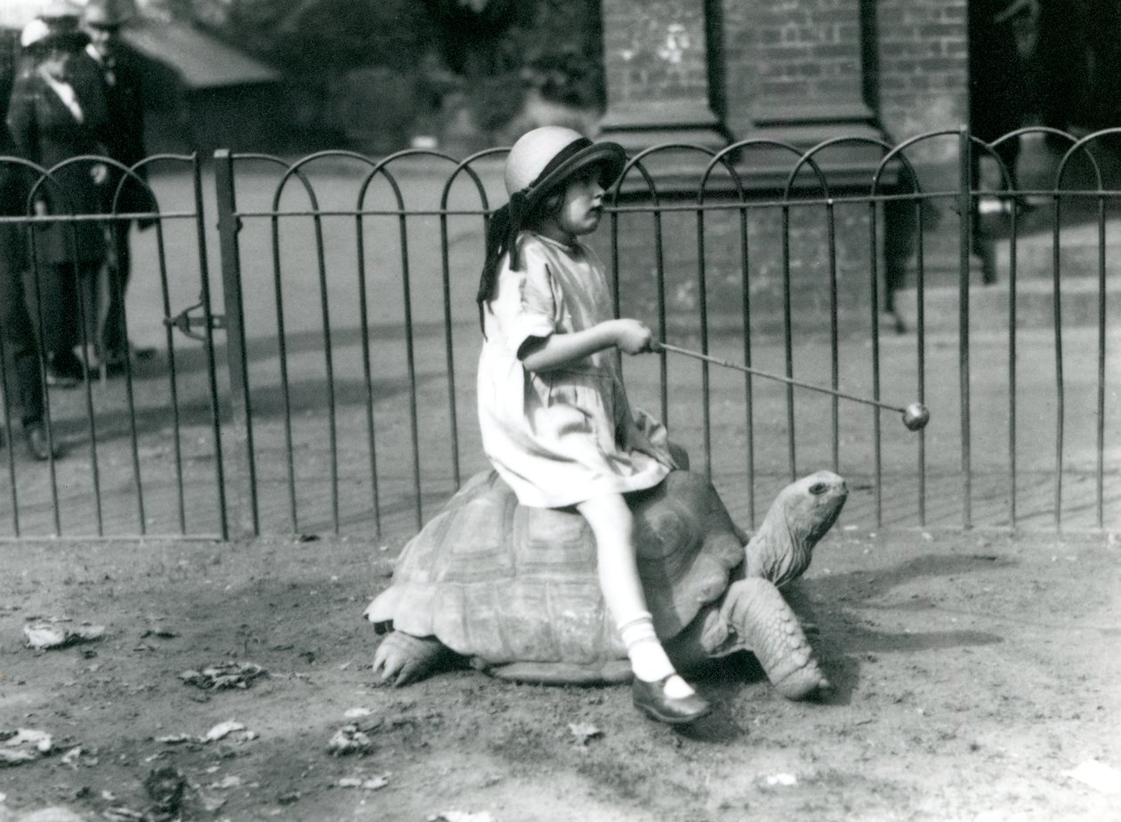 Een klein meisje, Betty, houdt een stok met een appel om de Reuzenschildpad te leiden waarop ze rijdt, London Zoo, 1924 door Frederick William Bond