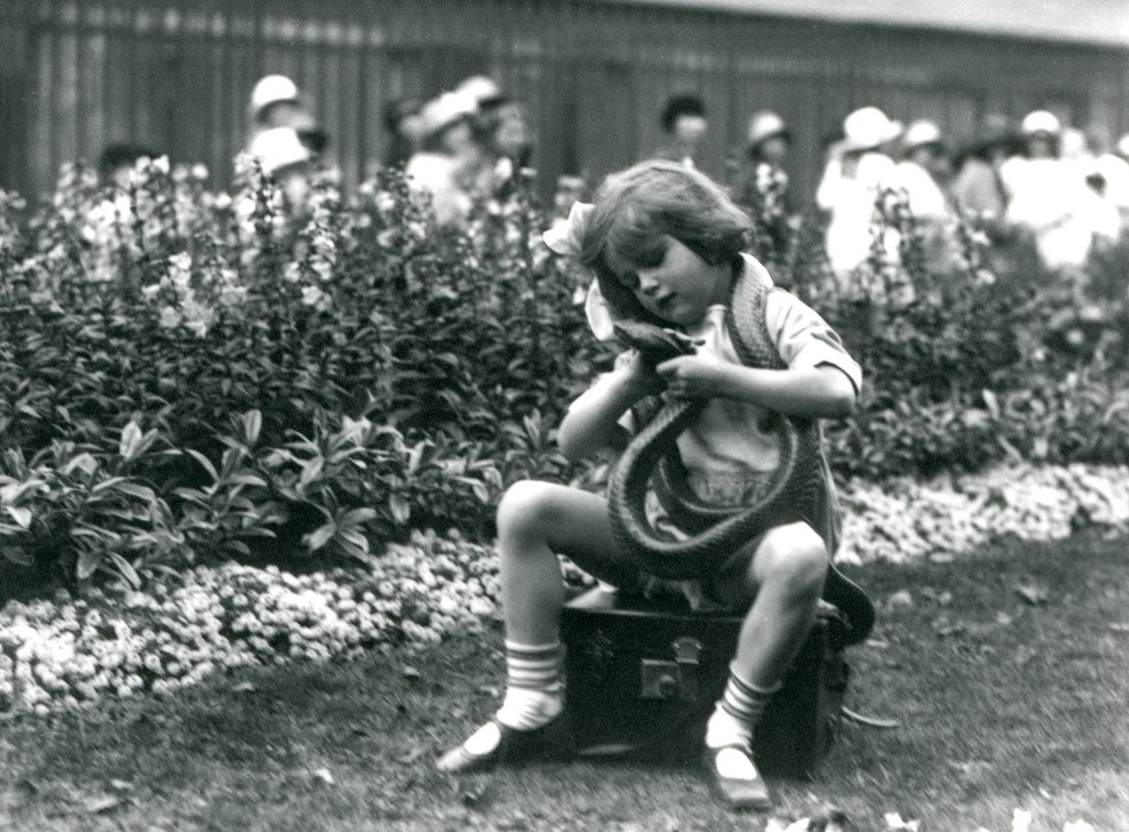 Een jong meisje Betty met een Oostelijke Indigo Slang, zittend op een leren koffer, London Zoo, 1924 door Frederick William Bond