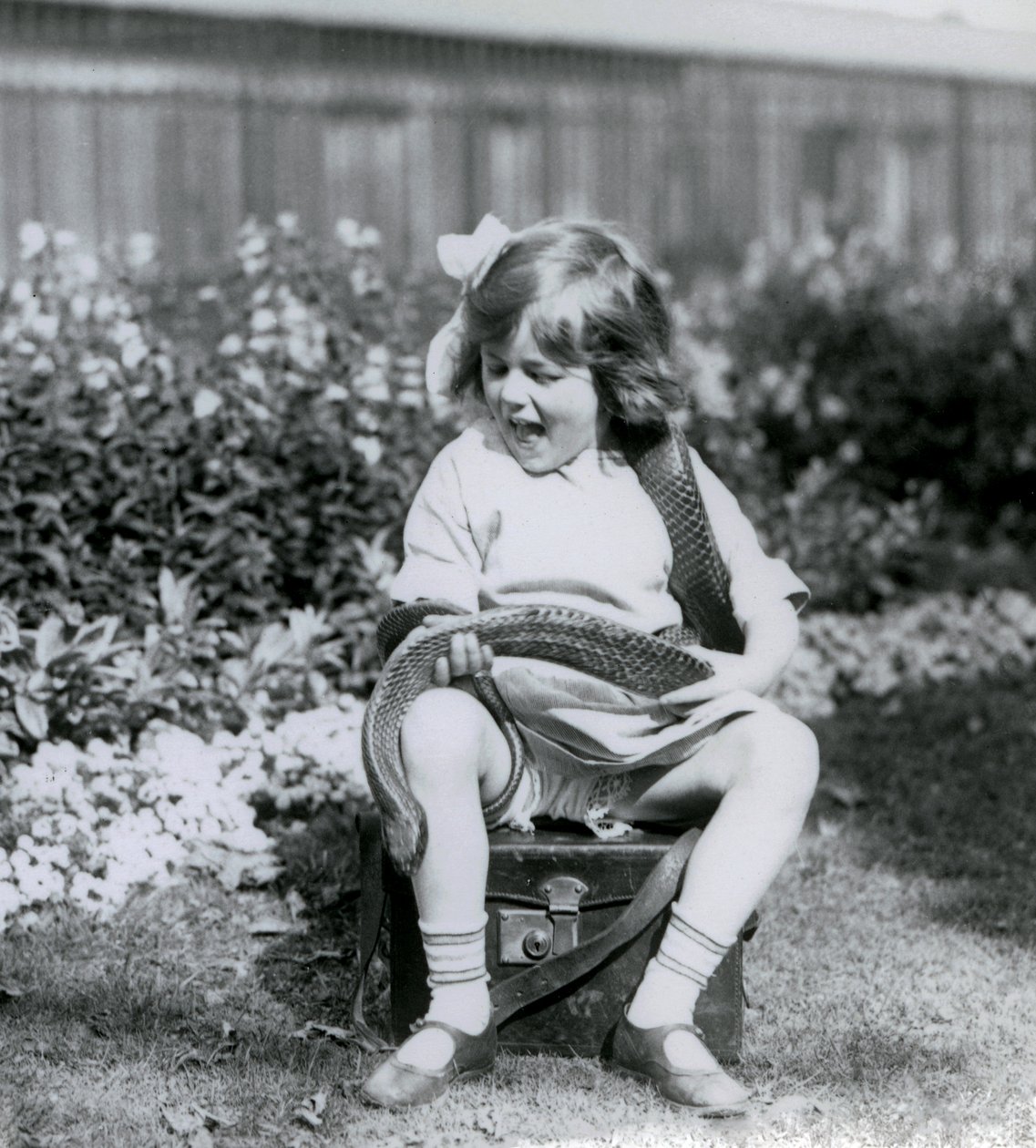 Een jong meisje Betty houdt een oostelijke indigo-slang vast terwijl ze op een leren koffer zit, London Zoo, 1924 door Frederick William Bond