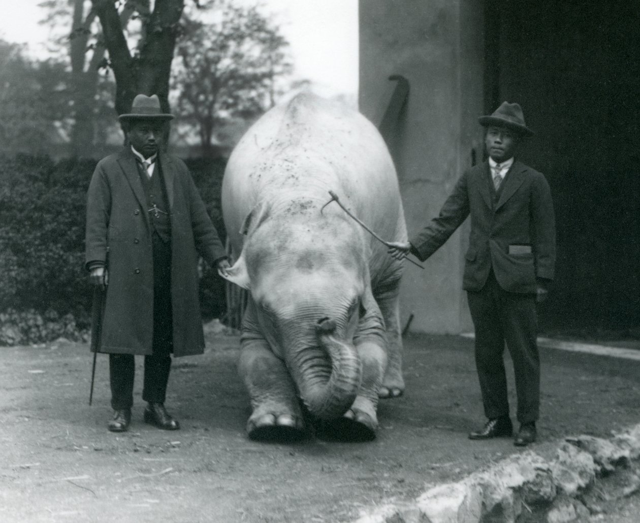Albino witte olifant Pawah met Dr. Saw Po Min en zoon, London Zoo, mei 1926 door Frederick William Bond