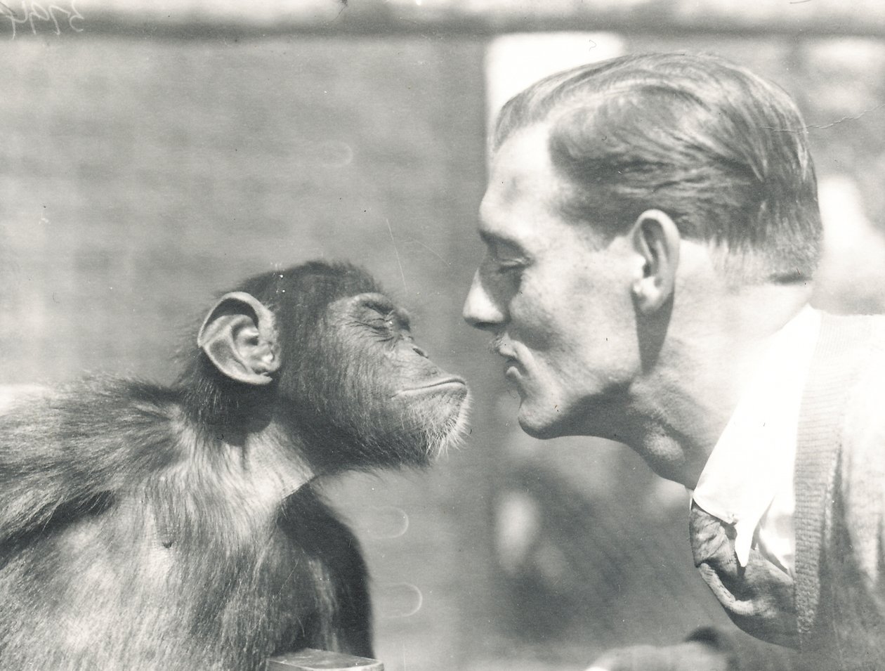 Booboo de chimpansee en John Shelly in ZSL London Zoo, september 1927 door Frederick William Bond