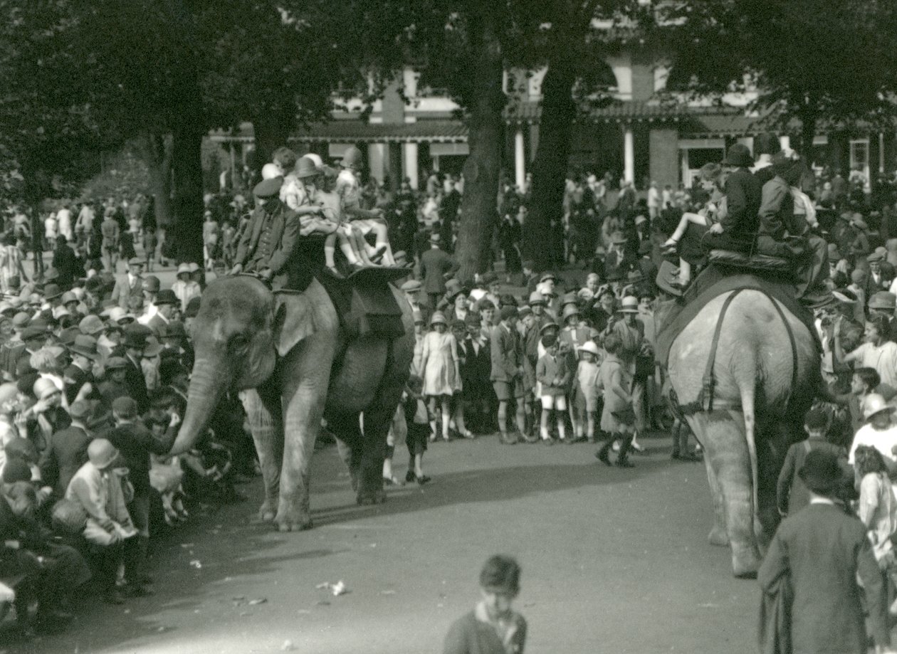 Olifantenritten, met twee Aziatische olifanten bekeken door menigten toeschouwers in London Zoo in augustus 1926 door Frederick William Bond