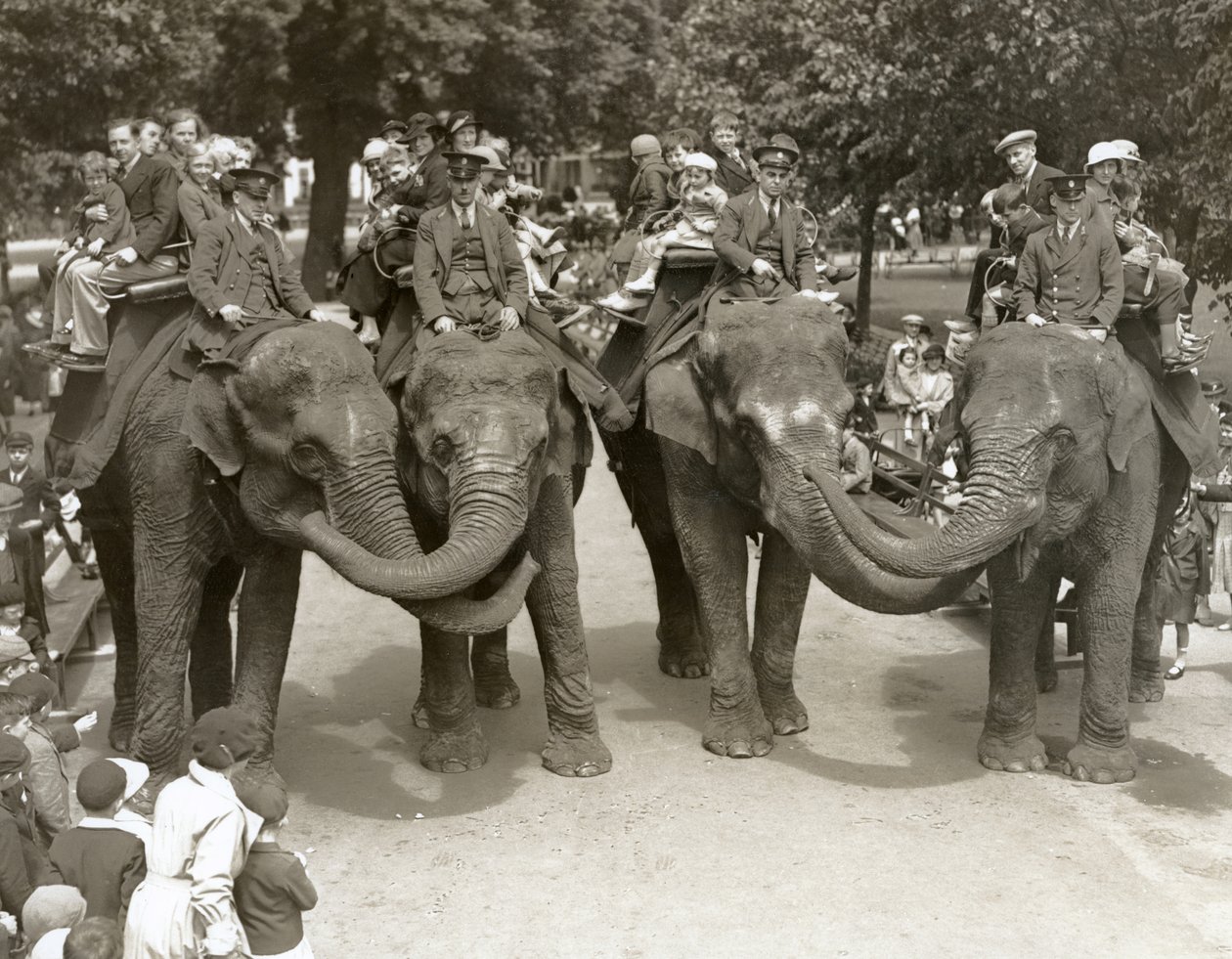 Olifantenritten in de Londense Zoo, juli 1936 door Frederick William Bond