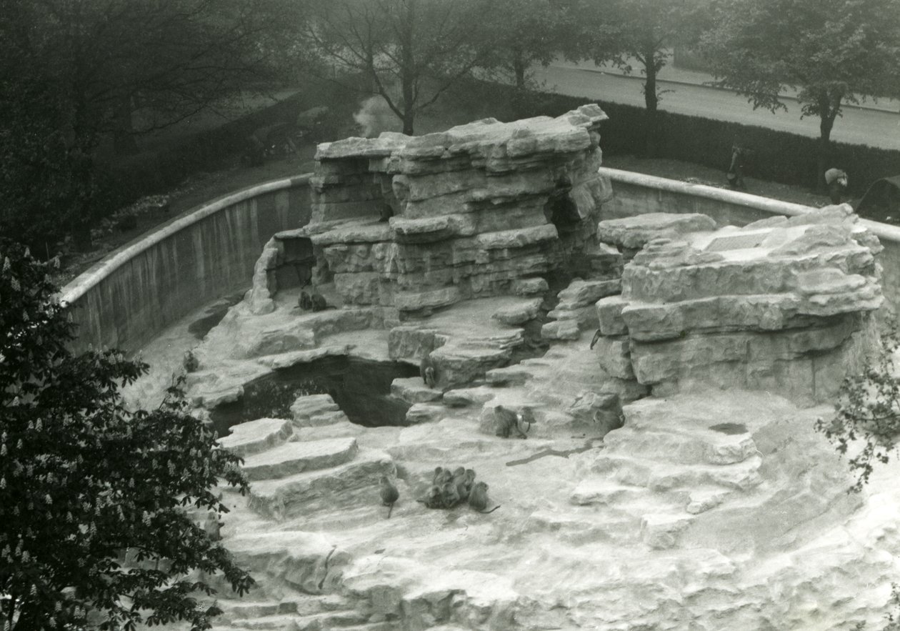 Apenheuvel gezien vanaf de top van de Mappin Terrassen, London Zoo door Frederick William Bond